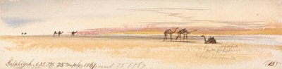 Salahiyeh da Edward Lear